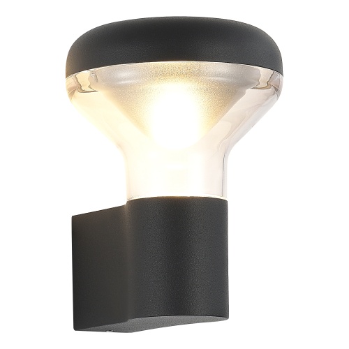 SL9541.701.01 Светильник уличный настенный ST-Luce темно-серый LED 1*6W 3000K РОНИ