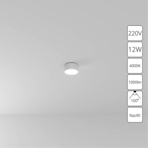 Arte lamp A6612PL-1WH СВЕТИЛЬНИК ПОТОЛОЧНЫЙ FADO 220В 115мм 12Вт 1000Лм 4000К 90+ 110°
