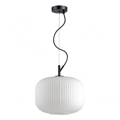 Подвесной светильник Odeon light Roofi 4754/1
