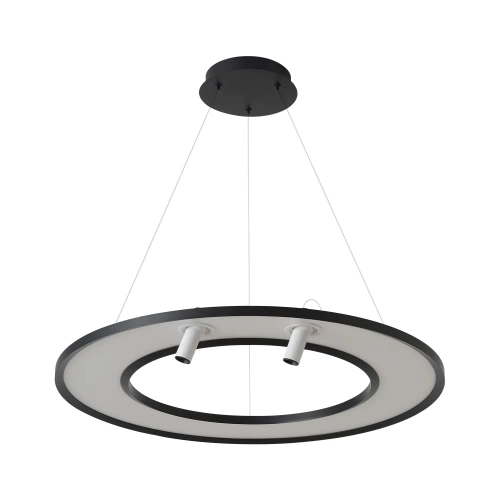 https://crystallux.ru/upload/dev2fun.imagecompress/webp/iblock/5fe/t49htvwesmczrytulrgs2bl5doum503q/CONTOUR_SP50W_LED_BLACK.webp