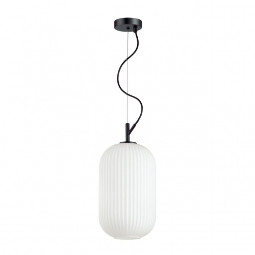Подвесной светильник Odeon light Roofi 4751/1