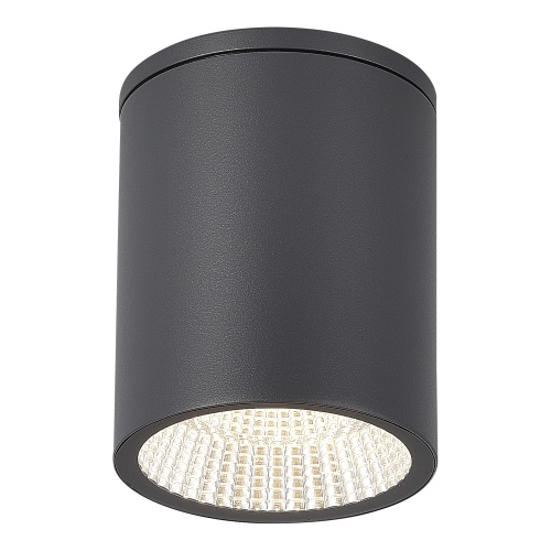 SL9514.712.01 Светильник уличный потолочный ST-Luce серый/белый LED 1*12W 3000K/4000K/6500K ТУБО