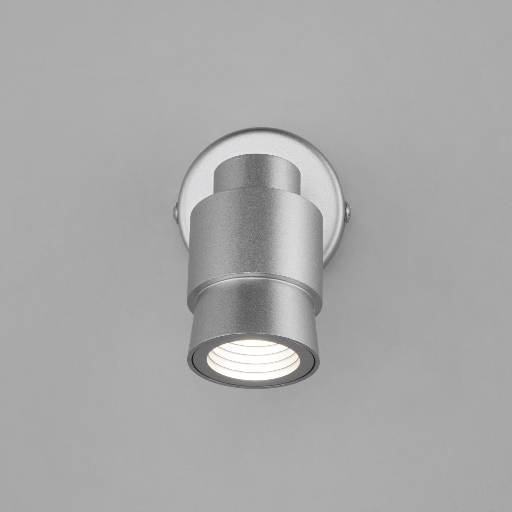 Настенный светильник Eurosvet 20125/1 LED серебро