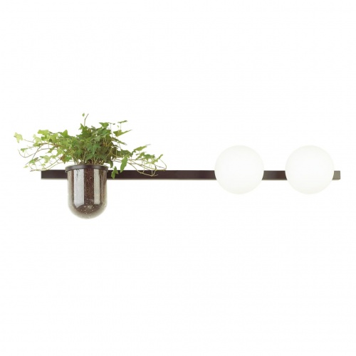 Бра Odeon light Flower 4681/2W