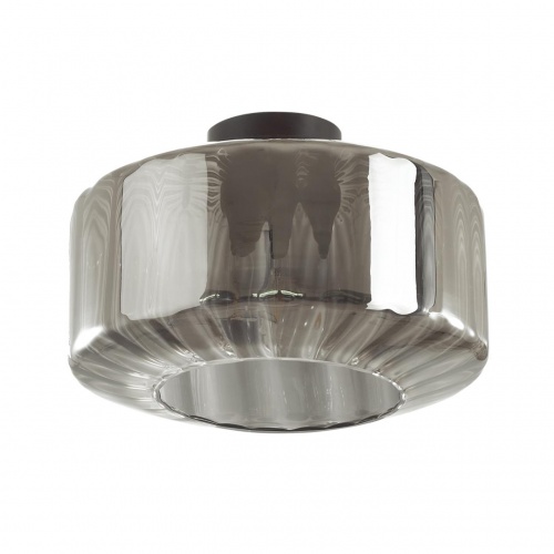 Потолочная люстра Odeon light Binga 4746/1C