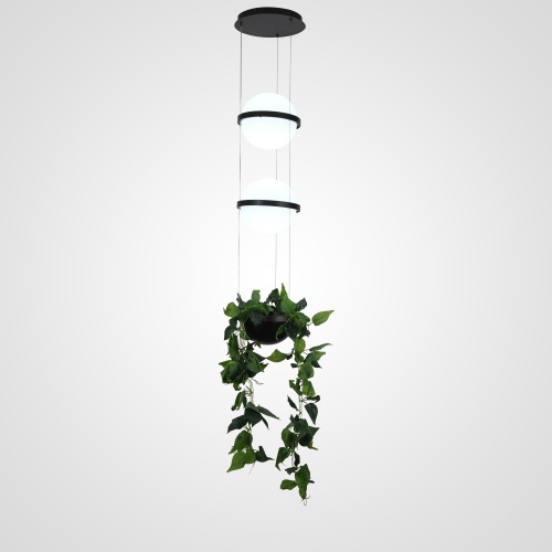 https://imperiumloft.ru/image/catalog/newlamps/168491-22/168491-22.jpg