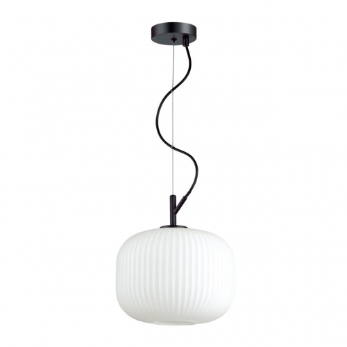 Подвесной светильник Odeon light Roofi 4753/1