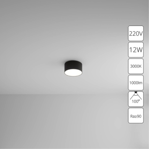 Arte lamp A7312PL-1BK СВЕТИЛЬНИК ПОТОЛОЧНЫЙ FADO 220В 115мм 12Вт 1000Лм 3000К 90+ 110°
