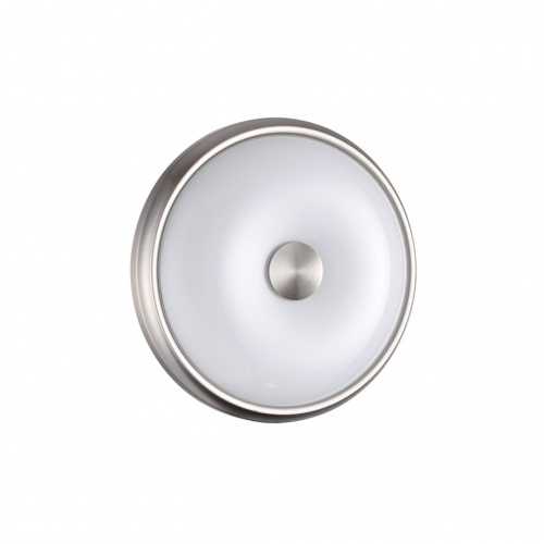 Настенно-потолочный светильник Odeon light Pelow 4957/2
