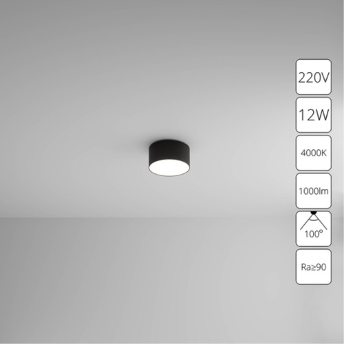 Arte lamp A6612PL-1BK СВЕТИЛЬНИК ПОТОЛОЧНЫЙ FADO 220В 115мм 12Вт 1000Лм 4000К 90+ 110°