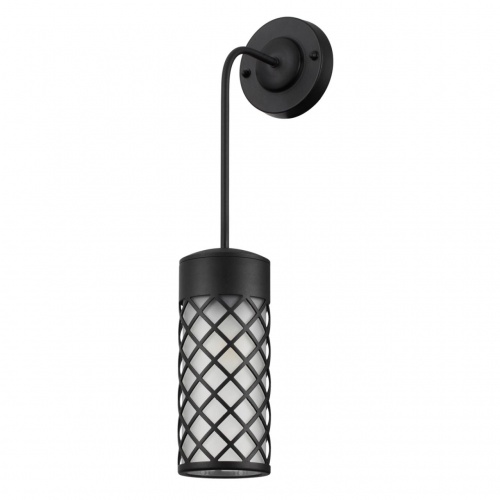 Настенный светильник Odeon light Dunes 4834/1W