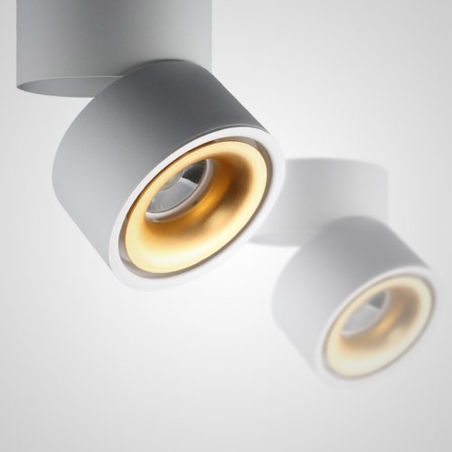 Потолочный светильник AGENDA White+Gold 10W 191836-26