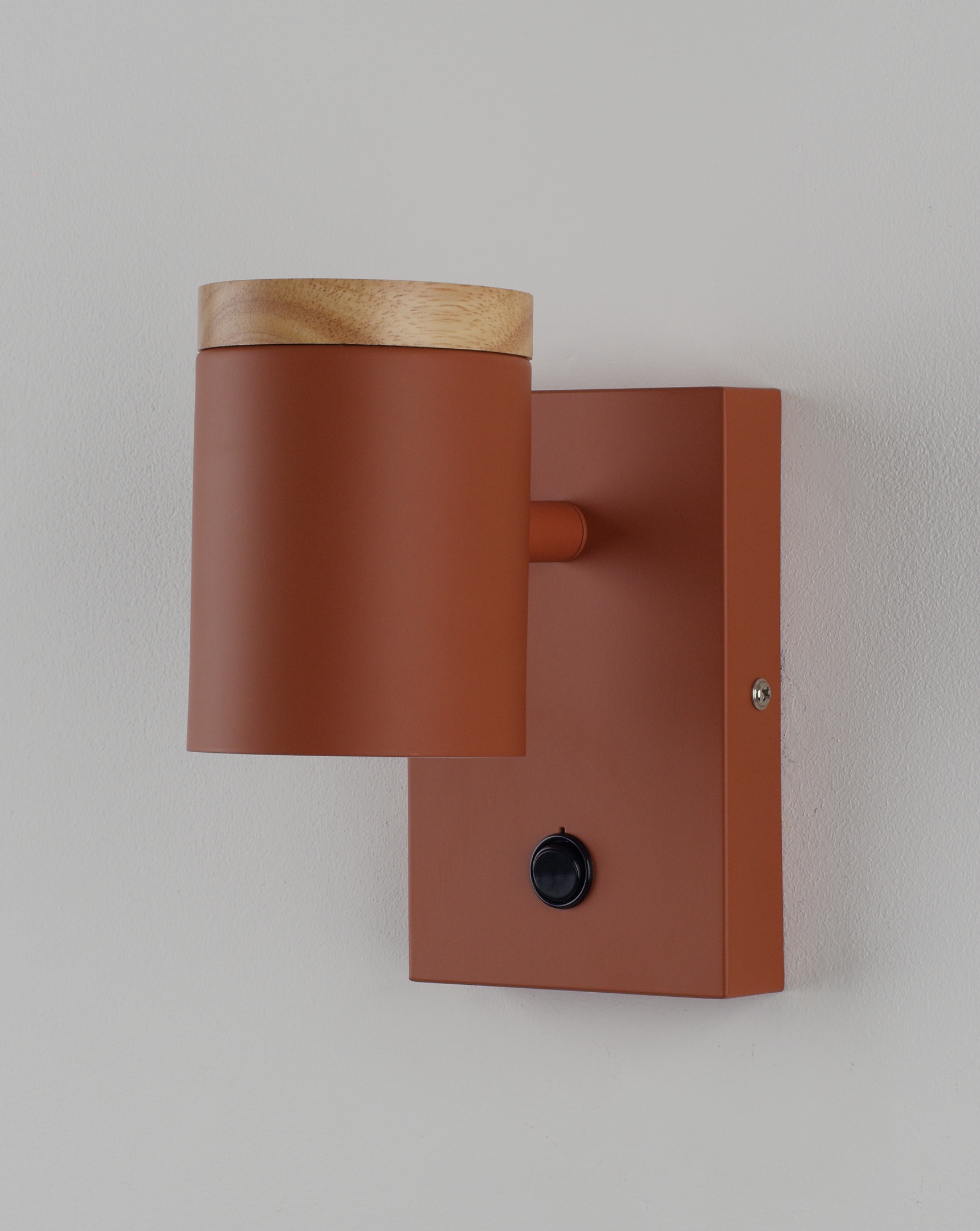 Светильник настенный Moderli V11293-1W Asheswood