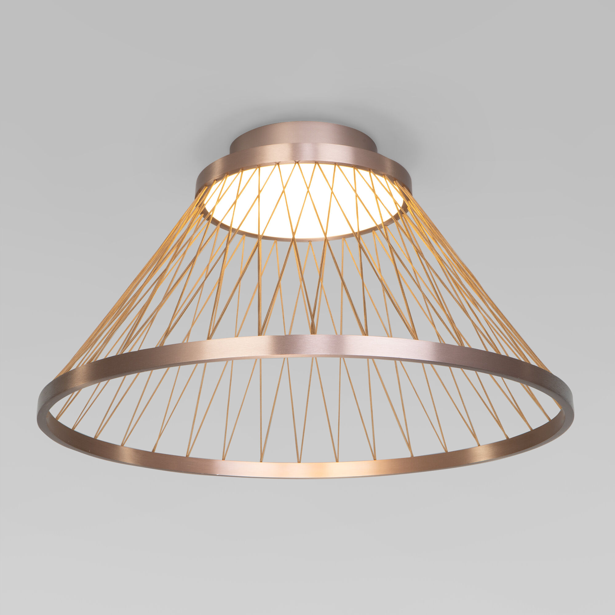 Потолочный светильник Eurosvet 40019/1 LED коричневый