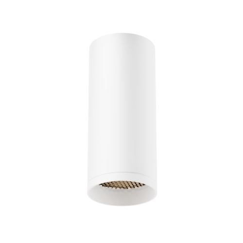 https://mais-upload.maytoni.de/Photo/69a51983-ad88-4a4a-9a30-9b94a650cbd3/007standard/RENDER_C010CL-01W-N_on_w_standard.jpeg