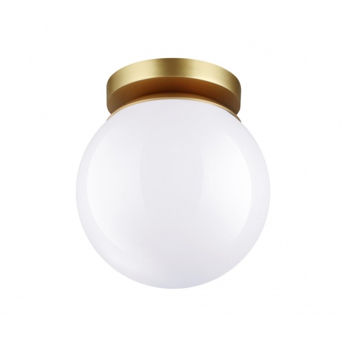Светильник для ванной комнаты Odeon light Bosco 4247/1C