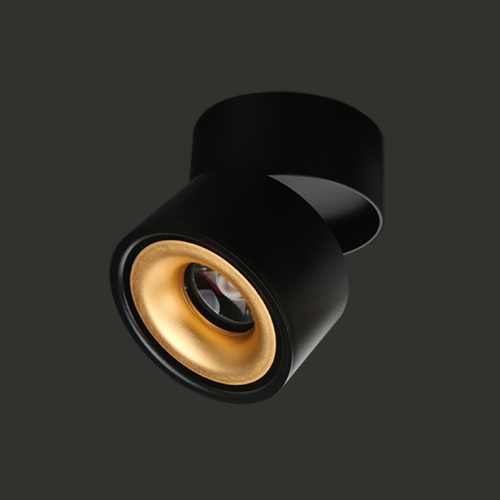Потолочный светильник AGENDA black+gold 10W 191830-26