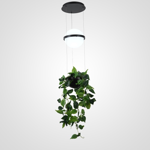 https://imperiumloft.ru/image/catalog/newlamps/168489-22/168489-22.jpg