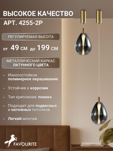 Подвес 4255-2P