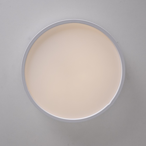 Потолочный светильник KIER D60 White 181019-26