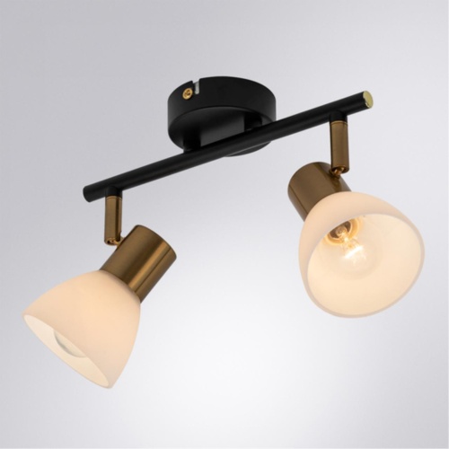 Arte lamp A3117PL-2BK СВЕТИЛЬНИК ПОТОЛОЧНЫЙ