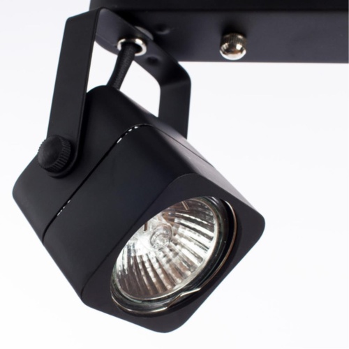 Arte lamp A1314PL-2BK СВЕТИЛЬНИК ПОТОЛОЧНЫЙ