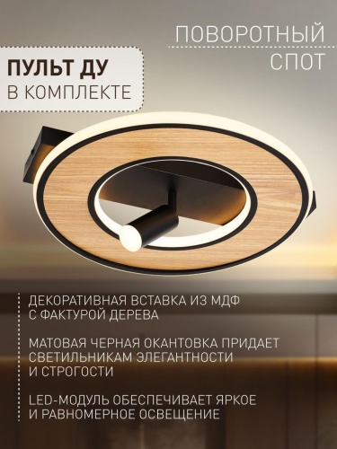 Потолочный светильник 4438-2C