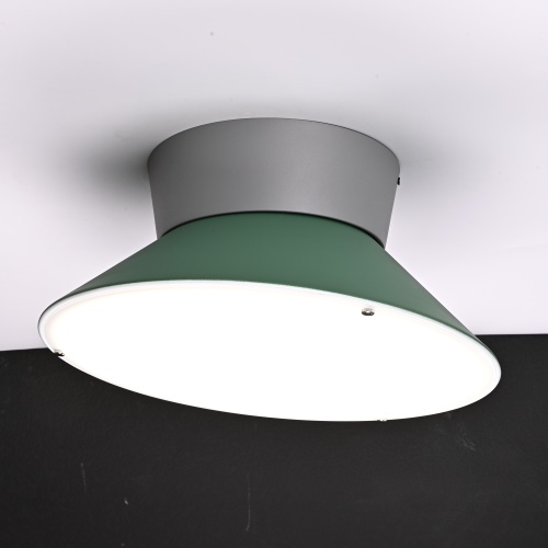 Потолочный светильник KNAP D40 Green 193556-26