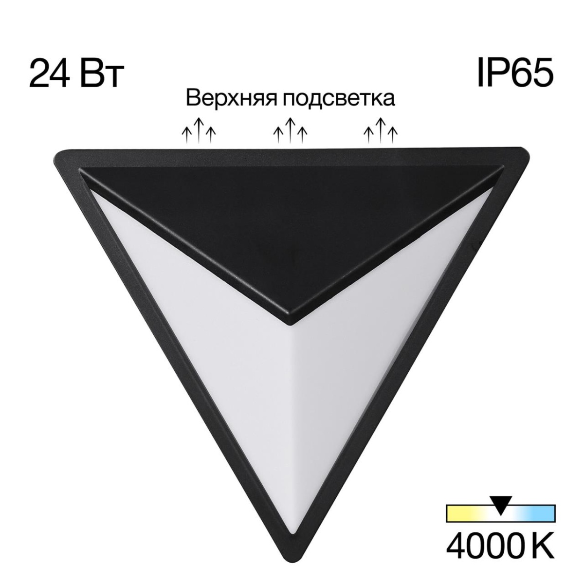 card-img