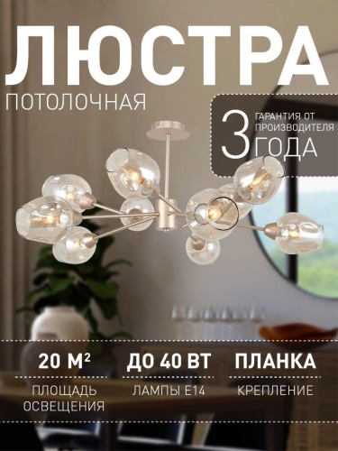 Потолочная люстра 2658-10U