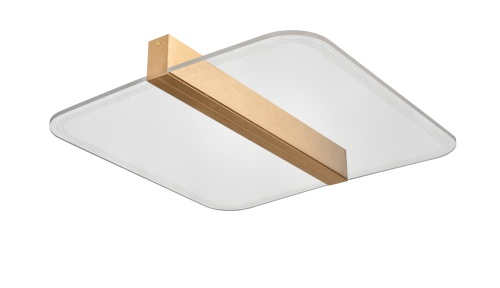 Потолочный светильник Vele Luce Futuro VL7224L21