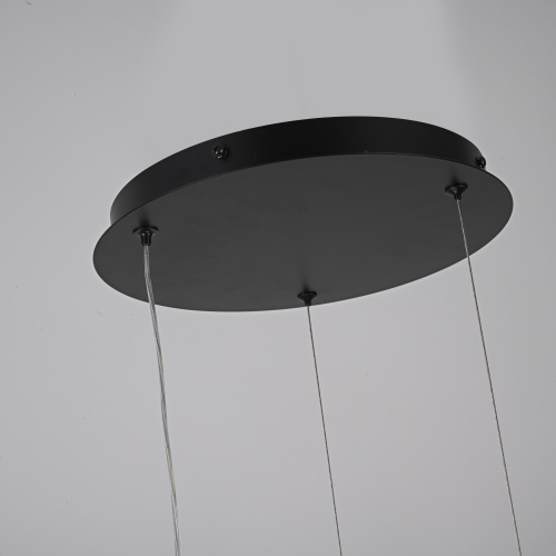 Подвесной светильник PALMA lamp Шар 99818-22