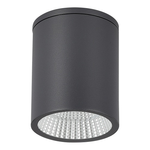 SL9514.712.01 Светильник уличный потолочный ST-Luce серый/белый LED 1*12W 3000K/4000K/6500K ТУБО