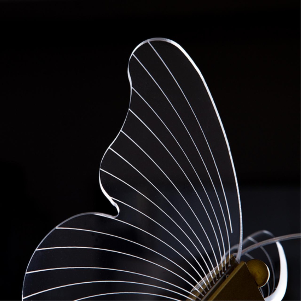 card-img