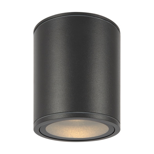 Уличный потолочный светильник Outdoor O306CL-L12GF