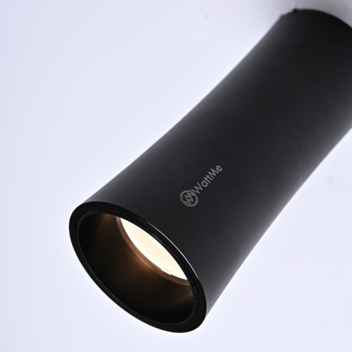 Потолочный светильник Zyppa Black H12 314102-26