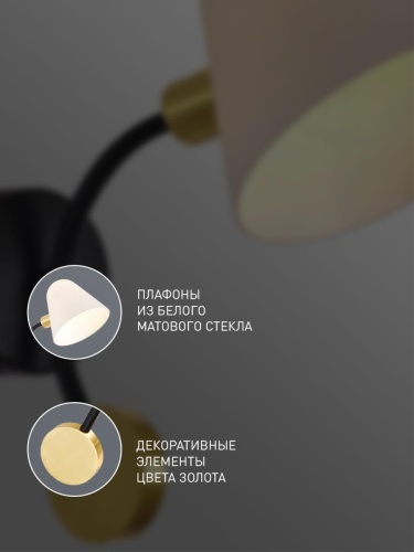 Бра 3045-1W