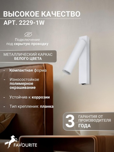 Настенный светильник 2229-1W