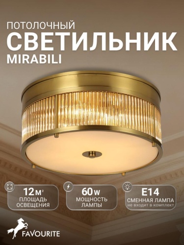 Потолочный светильник 2850-4C