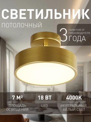 Потолочный светильник 3059-2P