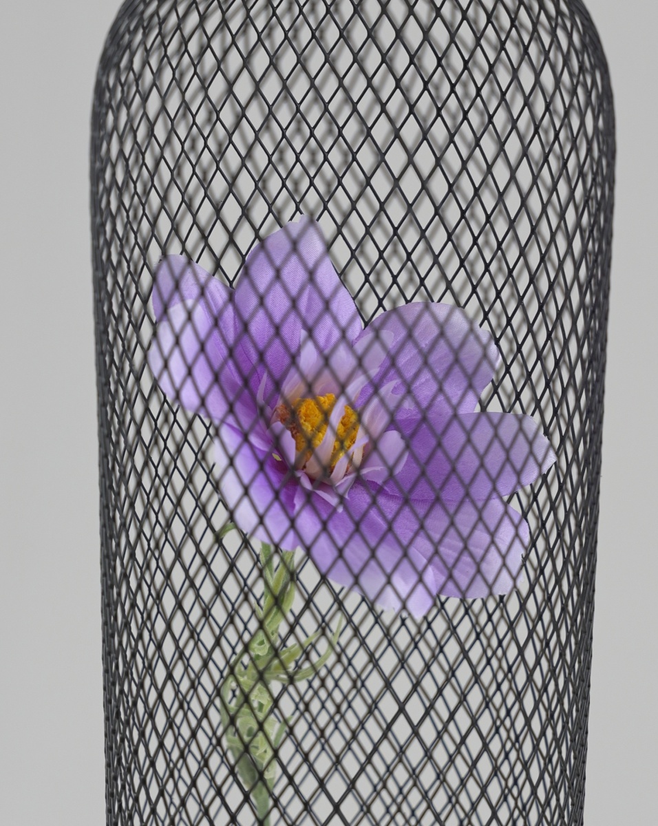 card-img