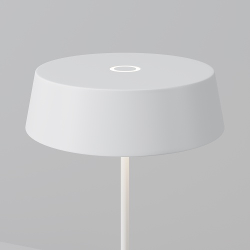 Уличный переносной аккумуляторный светильник Outdoor O540TL-L2WCCT