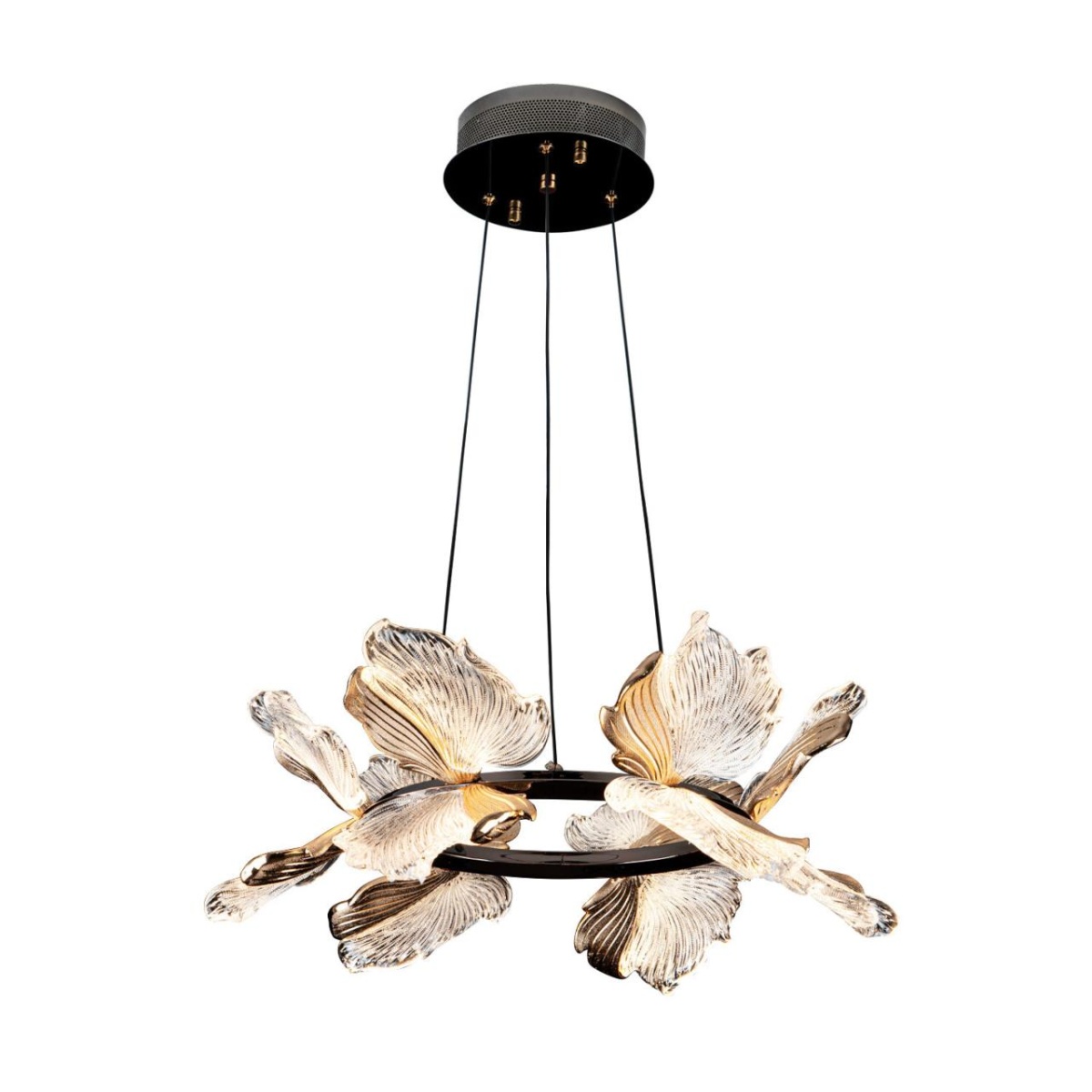 card-img
