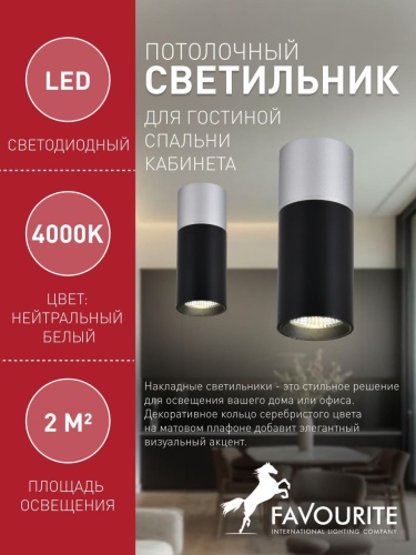 Потолочный светильник 3072-1C
