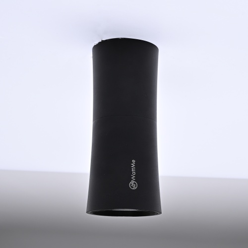 Потолочный светильник Zyppa Black H12 314102-26