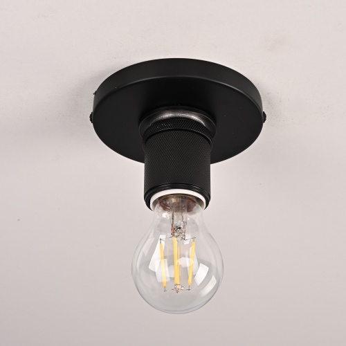 Потолочный светильник RH Utilitaire Socket Flushmount Black 123676-22