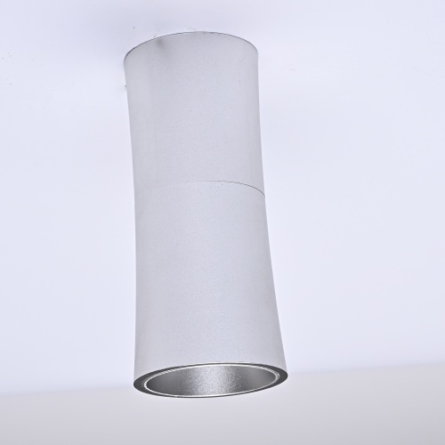 Потолочный светильник Zyppa Silver H12 314103-26