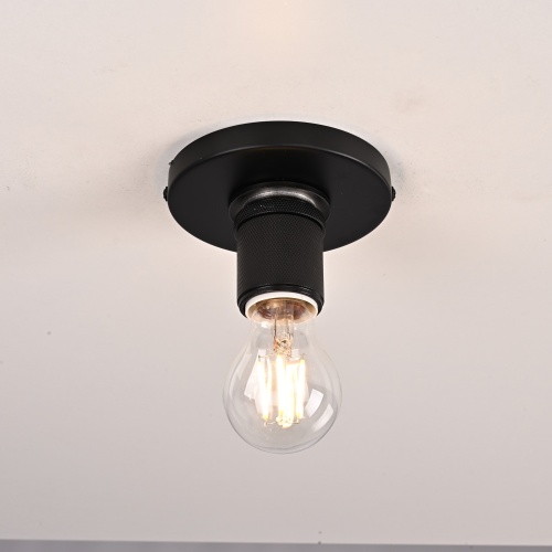 Потолочный светильник RH Utilitaire Socket Flushmount Black 123676-22