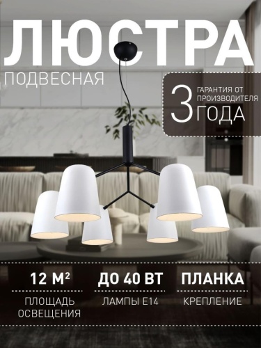 Подвесная люстра 2762-6P