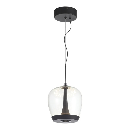 SL6014.423.01 Светильник подвесной ST-Luce Черный/Прозрачный, Черный LED 1*17W 3000K РИПЛ